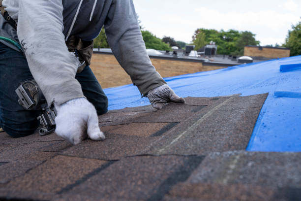 Best Sealant for Roof  in Ludowici, GA
