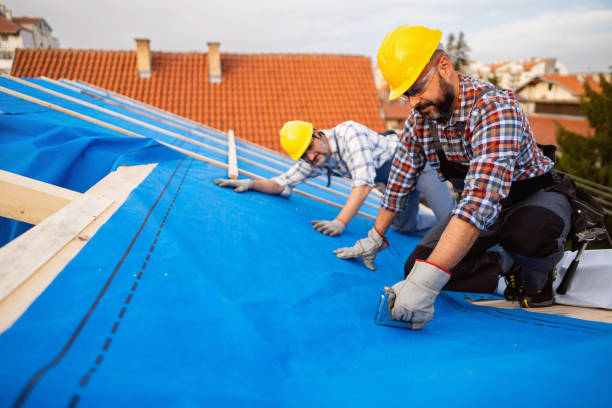 Trusted Ludowici, GA Roofing Contractor Experts