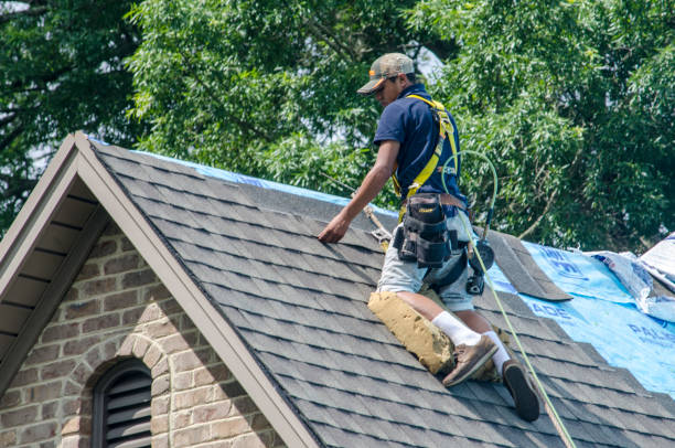 Best Best Roofing Contractors  in Ludowici, GA